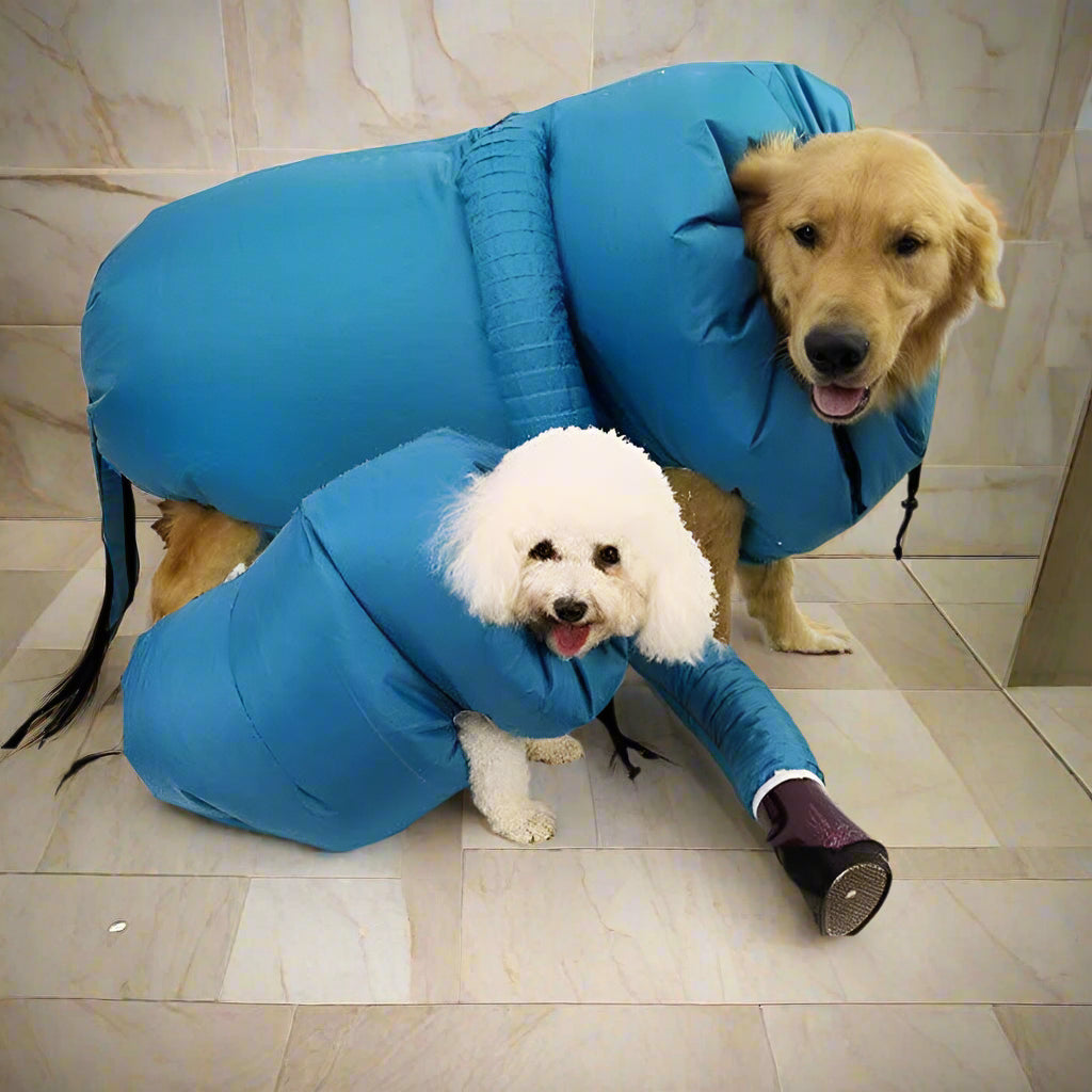 Quickest Pet drying hair blowing bag artifact