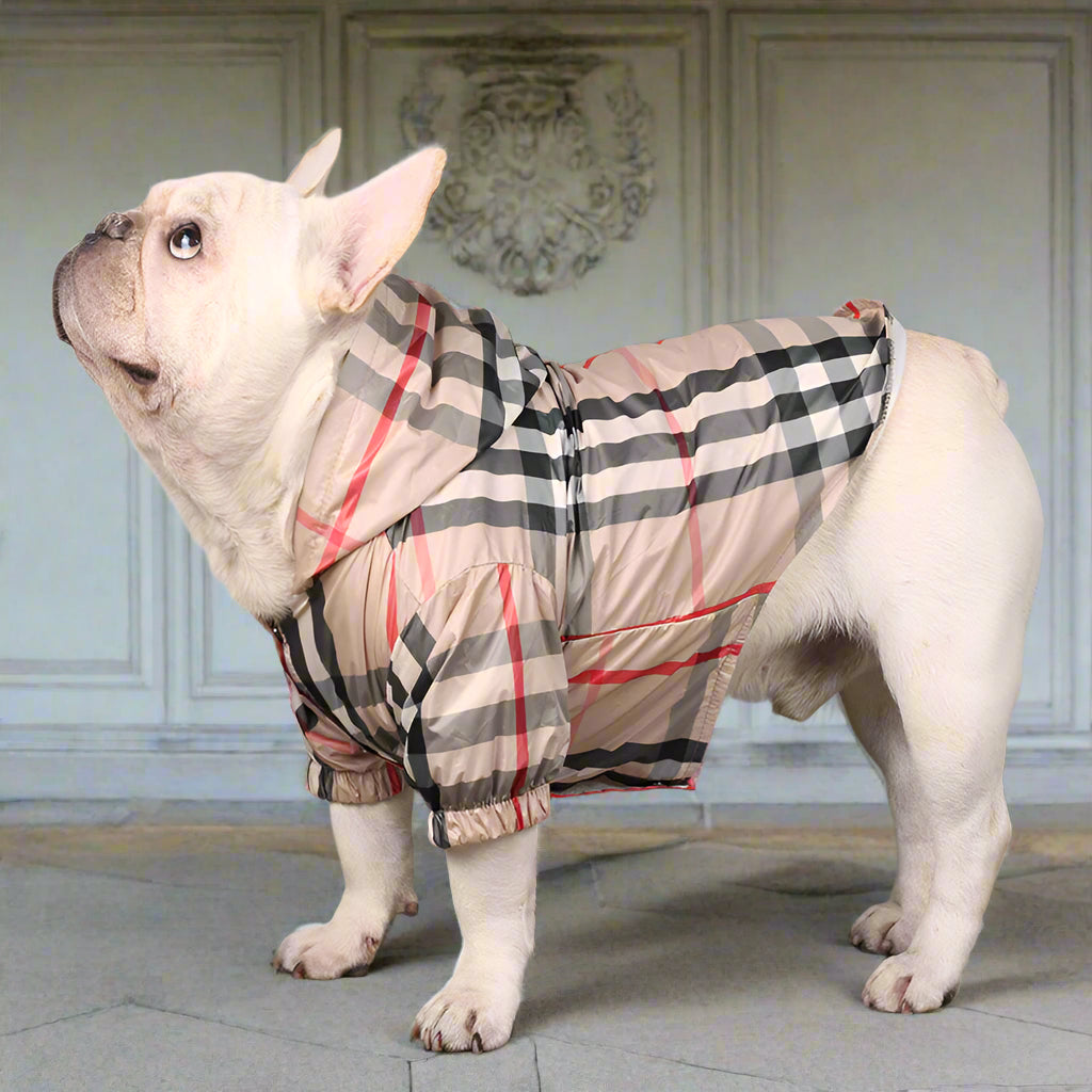 Japan imported windbreaker plaid dog apparel for Teddy Schnauzer Bichon