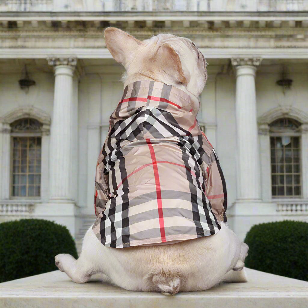 Japan imported windbreaker plaid dog apparel for Teddy Schnauzer Bichon