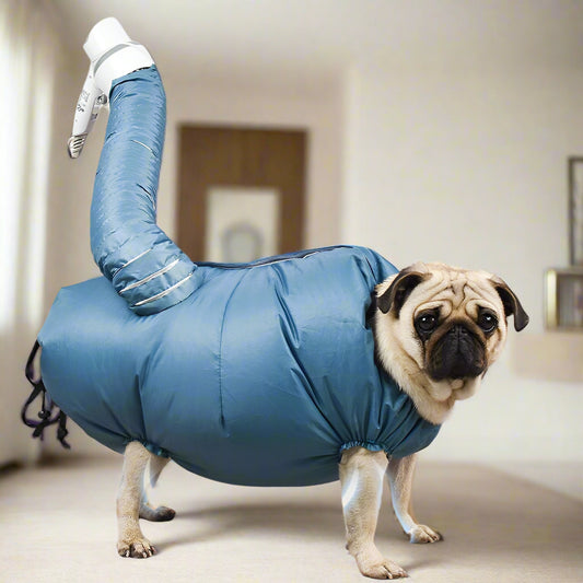 Quickest Pet drying hair blowing bag artifact